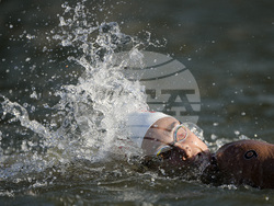 Paris Olympics Swimming