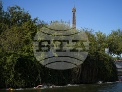Paris Olympics Swimming