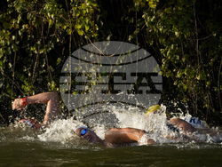 Paris Olympics Swimming