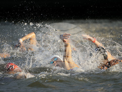 Paris Olympics Swimming