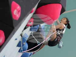 Paris Olympics Sport Climbing