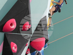 Paris Olympics Sport Climbing
