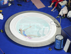 Paris Olympics Diving