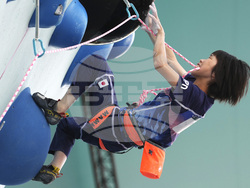 Paris Olympics Sport Climbing
