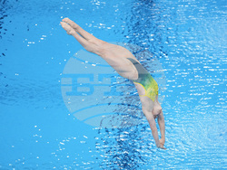 Paris Olympics Diving