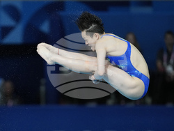 Paris Olympics Diving