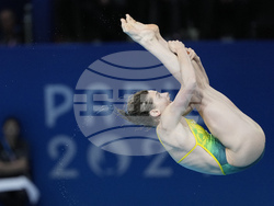 Paris Olympics Diving