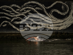 Paris Olympics Swimming