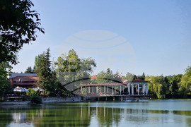 Търговище - водни лилии - парк „Борово око“