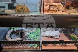 Квартал „Люлин" - магазин за акваристика и тераристика