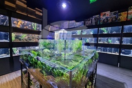 Квартал „Люлин" - магазин за акваристика и тераристика