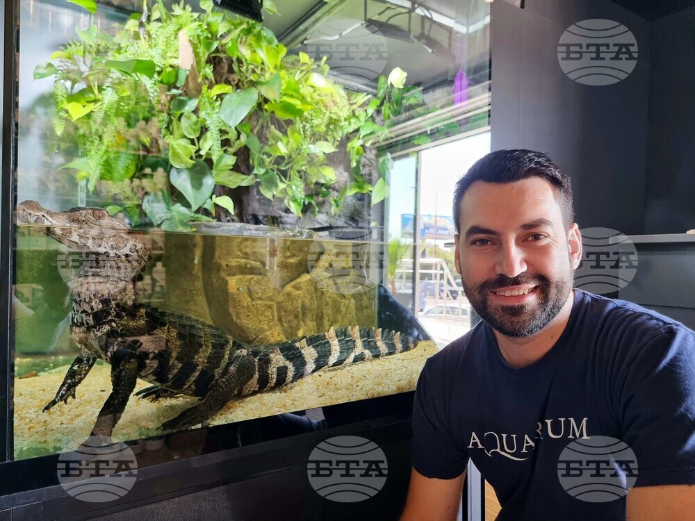 Квартал „Люлин" - магазин за акваристика и тераристика - Костадин Кузмов