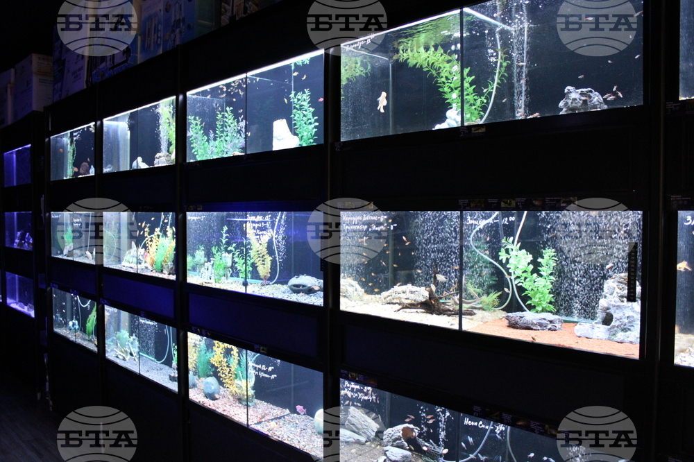 Квартал „Люлин" - магазин за акваристика и тераристика