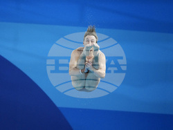 Paris Olympics Diving