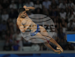 Paris Olympics Diving