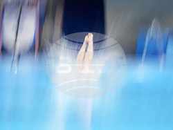 Paris Olympics Diving