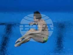 Paris Olympics Diving