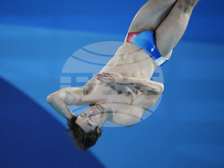 Paris Olympics Diving