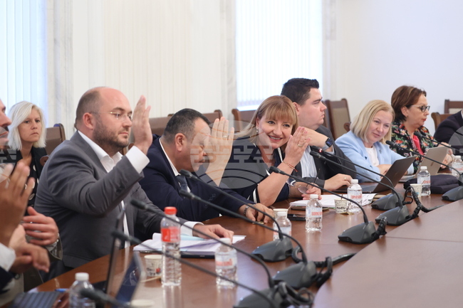 Парламент - Комисия по конституционни права и правни въпроси - заседание