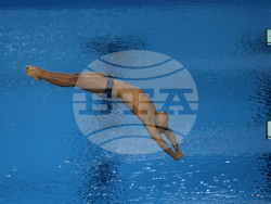 Paris Olympics Diving