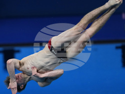 Paris Olympics Diving