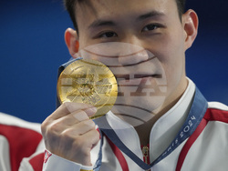 Paris Olympics Diving