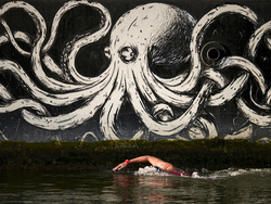 Paris Olympics Day 13 Photo Gallery