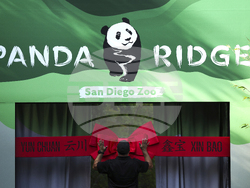 California San Diego Pandas