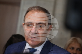 Народно събрание - Борисов Гуцанов - изявление