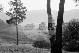 Летовище Селце