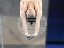 Paris Olympics Diving