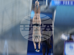 Paris Olympics Diving