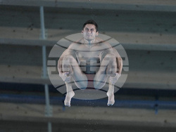 Paris Olympics Diving