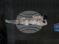 Paris Olympics Diving