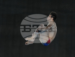 Paris Olympics Diving