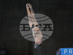 Paris Olympics Diving