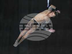 Paris Olympics Diving