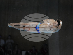 Paris Olympics Diving