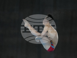 Paris Olympics Diving