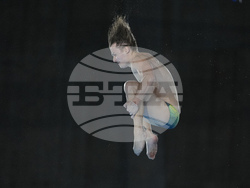 Paris Olympics Diving