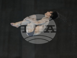 Paris Olympics Diving