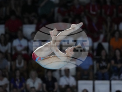 Paris Olympics Diving