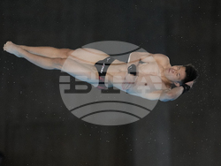 Paris Olympics Diving