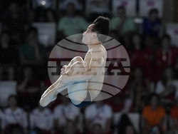 Paris Olympics Diving