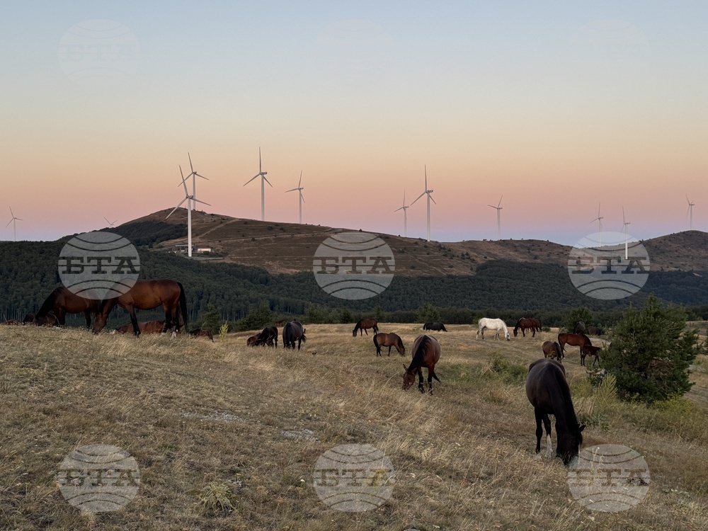 Бузлуджа - фестивал