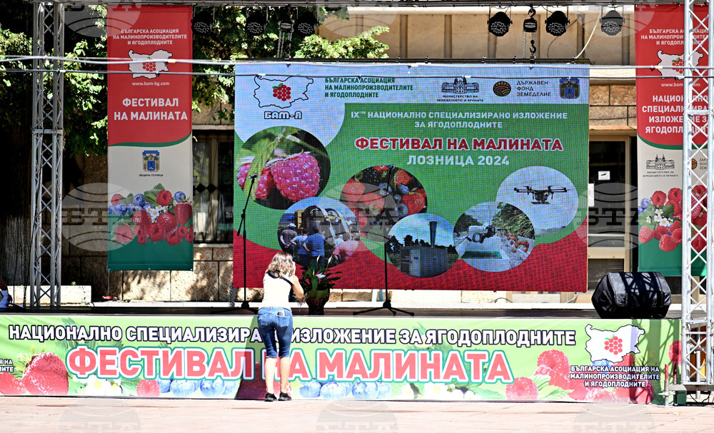 Лозница - Фестивал на малината