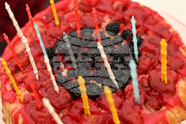 Лозница - Фестивал на малината