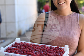 Лозница - Фестивал на малината