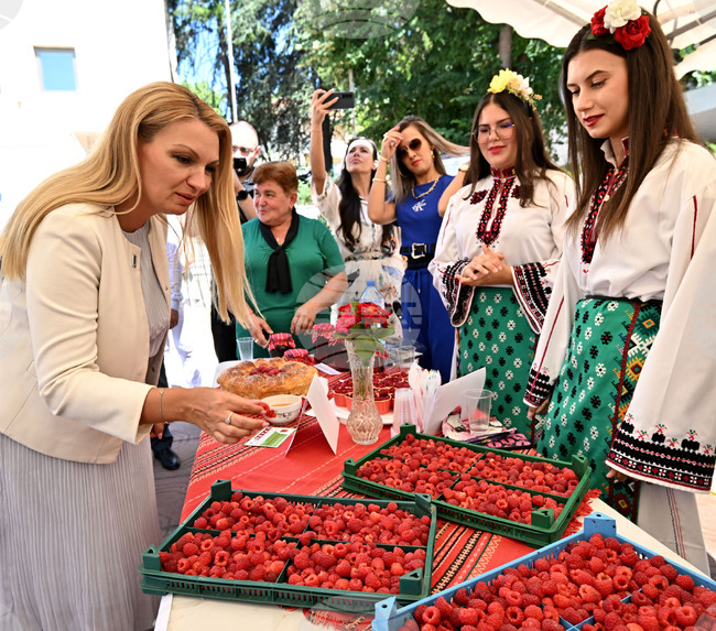 Лозница - Фестивал на малината