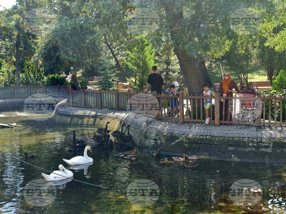 Пълни са парковете в турската столица: жителите и гостите търсят разхлада в горещините